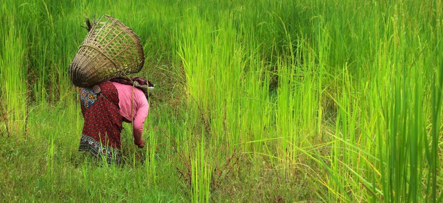 Barom&egrave;tre de la Microfinance 2019 : les tendances qui ont marqu&eacute; le secteur depuis une d&eacute;cennie