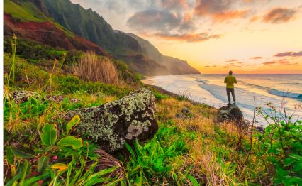 Environmental responsibility