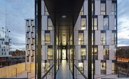 Organization and governance