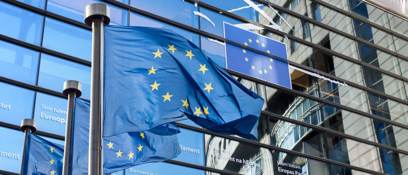 Drapeau Européen devant le Parilament