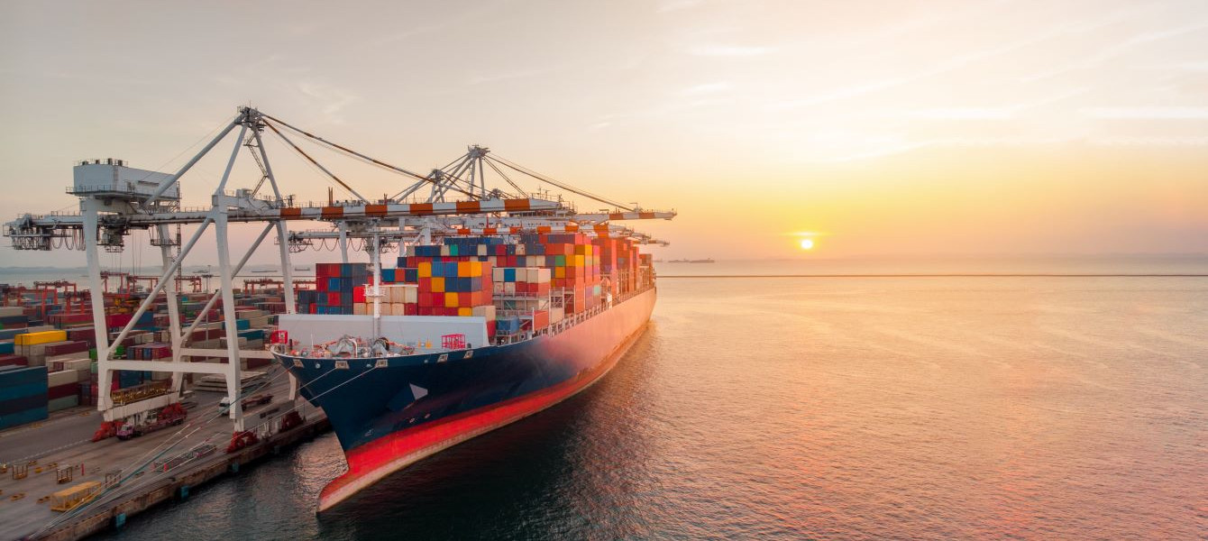 Cargo porte-conteneur en attente dans le terminal logistique d'un port maritime.