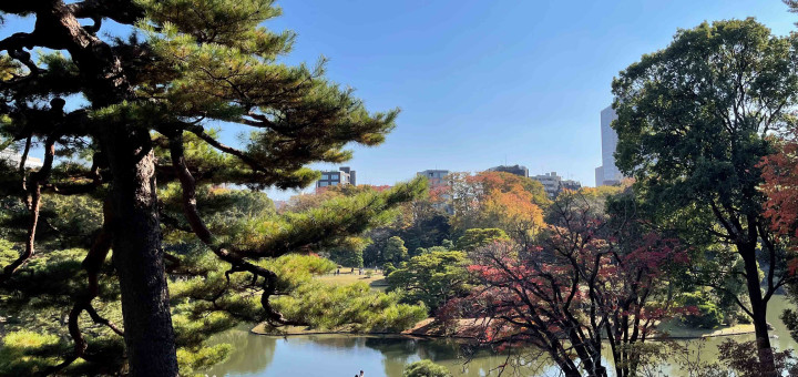 <p>BNPP_Results_2Q23 illustration</p>