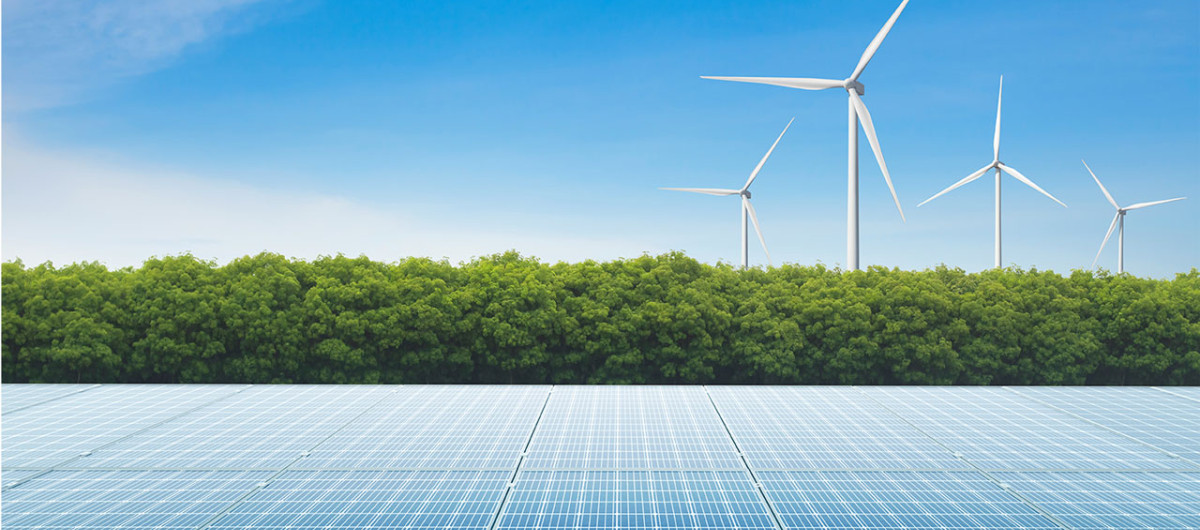 Wind Solar Panels and Trees Towards