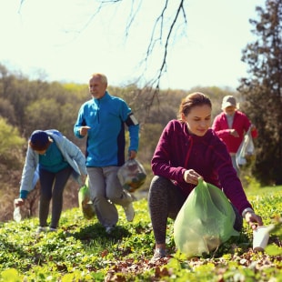 Bénévoles en train de ramasser les déchets dans la nature