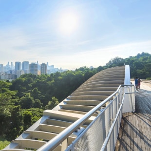 people in wooden bridge walkway with shadow of steel structure from sunlight over forest tree green field with urban modern city and blue sky white cloud