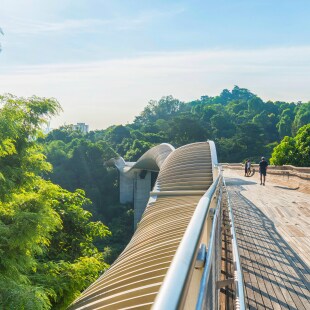 Personnes se promenant sur un pont en bois moderne au-dessus d'un parc urbain avec de grands arbres verts.