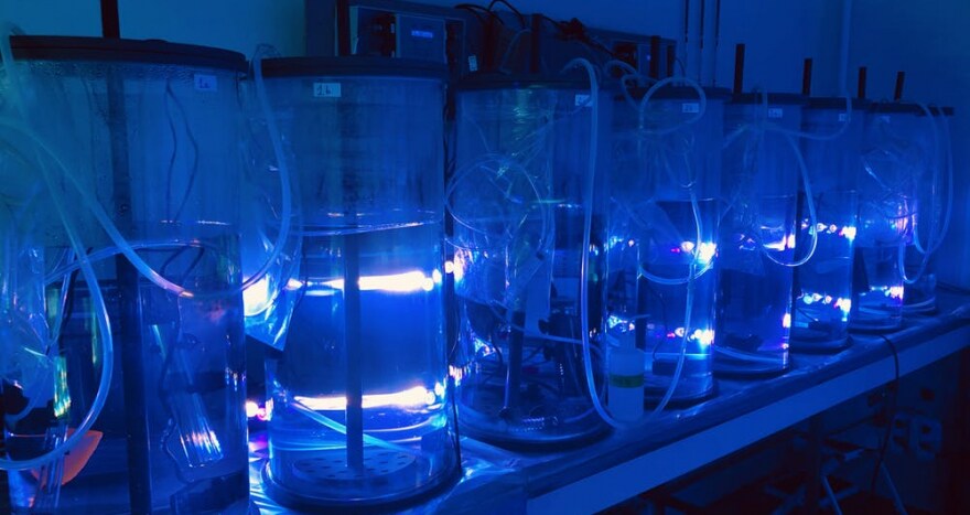 NOTION Project - Experiments testing the response of diazotroph cells to simulated climate change scenarios
