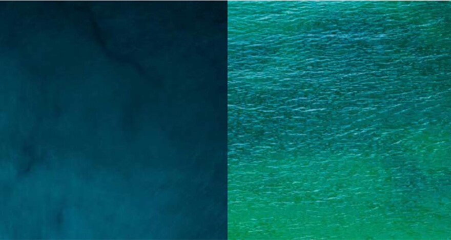 NOTION project - Climate & Biodiversity Initiative - Illustration Azote