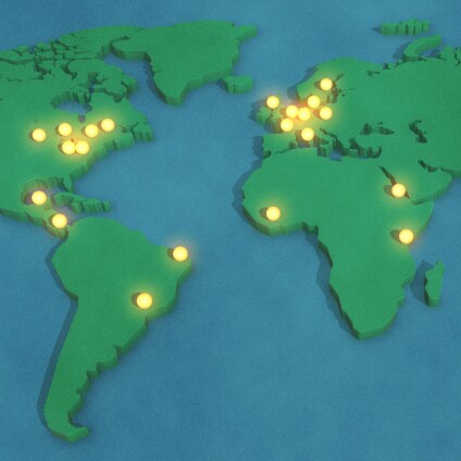 CAMBIO will build on TreeDivNet, a global network of tree diversity experiments representing the largest research facility worldwide to study forest ecosystem functioning in plantations.