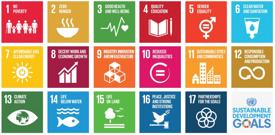 Sustainable Development Goals: how to raise awareness in the private ...