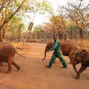 Urgence biodiversité