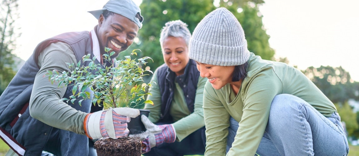 Plantes, service communautaire et groupe de bénévolat dans le parc, le jardin et la nature pour un environnement durable. Changement climatique, jardinage des arbres et projet du Jour de la Terre pour la croissance, la protection mondiale et l’écologie verte