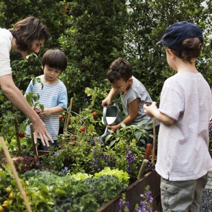 Teacher and kids school learning ecology gardening