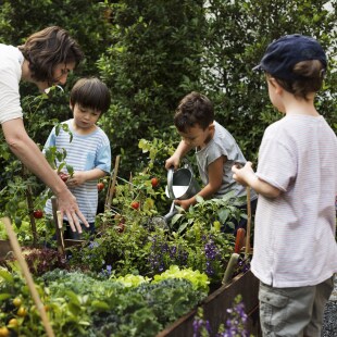 Une professeur et des écoliers apprennent le jardinage écologique