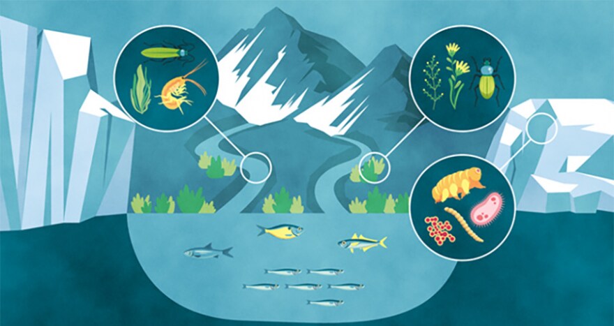 LIFE WITHOUT ICE : changement climatique et conséquences de l’extinction des glaciers