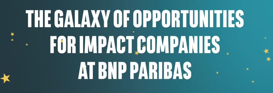 Infographic: The Galaxy of Opportunities for Impact Companies at BNP Paribas