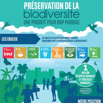 Biodiversité infographie