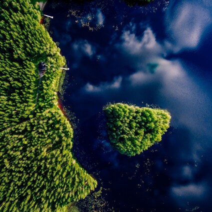 Asset Management biodiversity