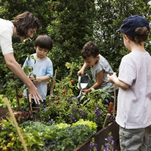 Une professeur et des écoliers apprennent le jardinage écologique