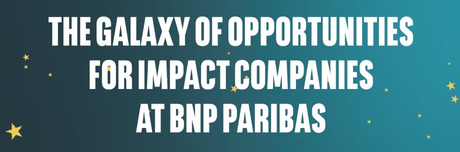 Infographic: The Galaxy of Opportunities for Impact Companies at BNP Paribas