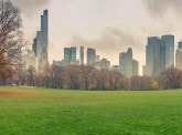 L’Innovation et la collaboration au cœur des solutions : Focus sur la Climate Week NYC 2021