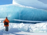 Les sentinelles des glaces de mer face au réchauffement climatique