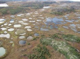 Permafrost: what are the consequences for the climate?