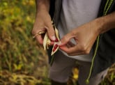 Bonduelle : mener la transition vers l’alimentation végétale