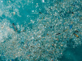 Blue Horizons: tackling marine plastic and chemical pollution
