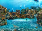 BNP Paribas et la startup Underwater Gardens unissent leurs forces pour promouvoir la régénération des océans