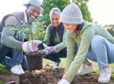 Comment les obligations sociales peuvent-elles favoriser les progrès vers la résilience ?