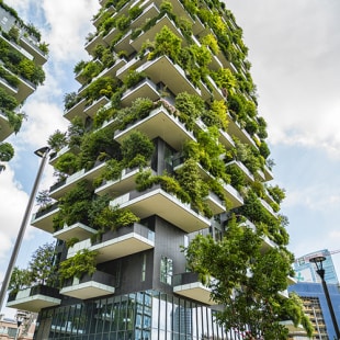 Immeuble avec façade végétalisée