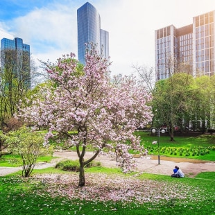 Biodiversité BNP Paribas