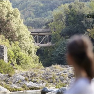 Politique Cerrado et Amazonia BNP Paribas