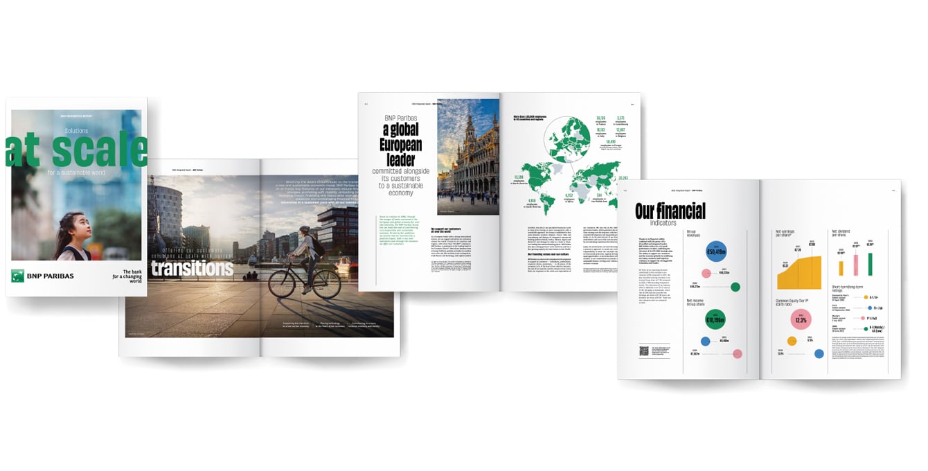 Extracts from the Integrated Report showing infographies, maps and articles