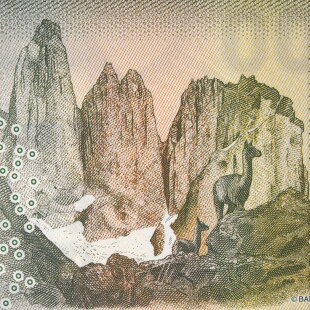 Gravure de llamas dans la montagne