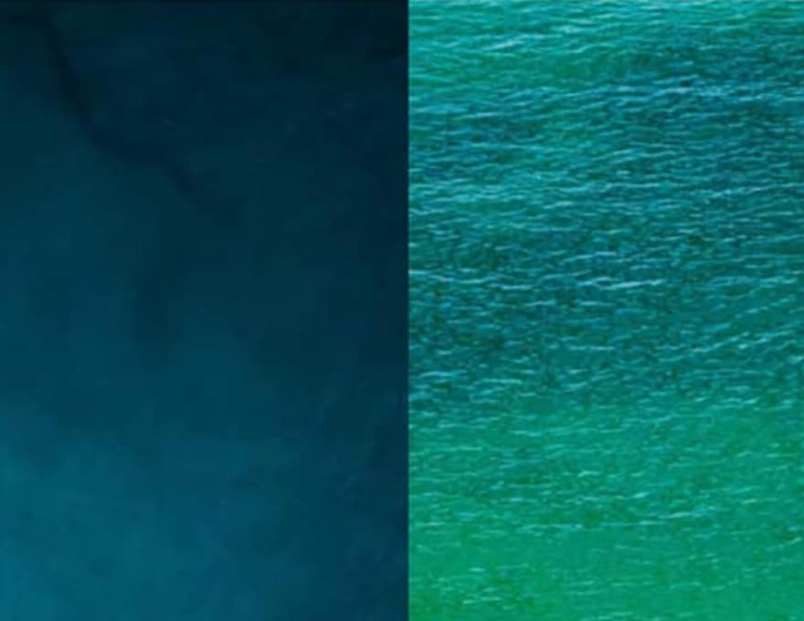 NOTION project - Climate & Biodiversity Initiative - Illustration Azote