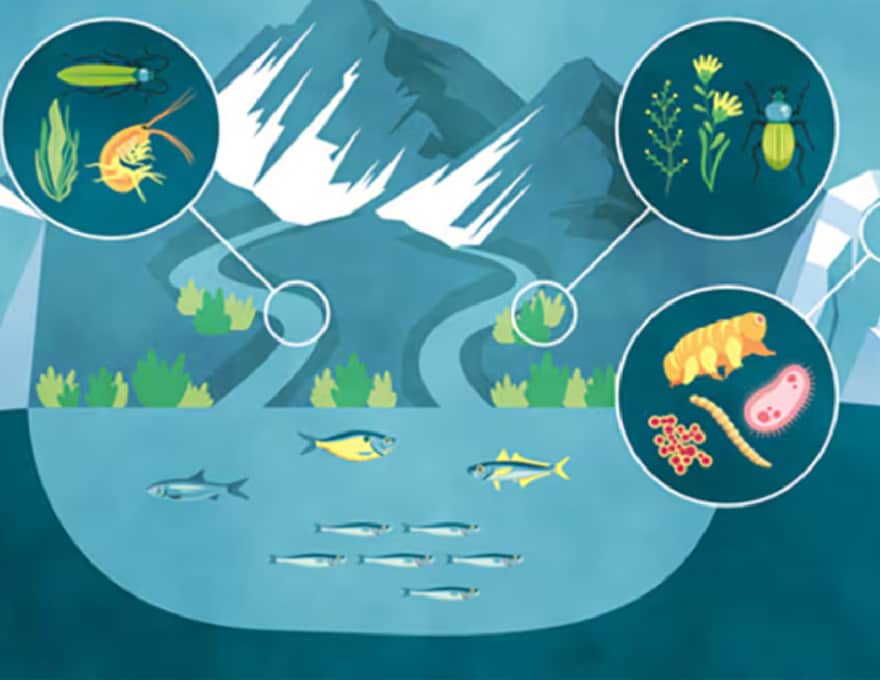 LIFE WITHOUT ICE : changement climatique et conséquences de l’extinction des glaciers