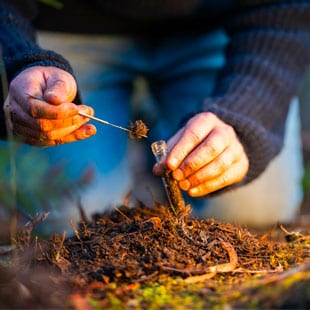 Un homme prélève un échantillon de terre dans un tube en verre pour procéder à des analyses scientifiques