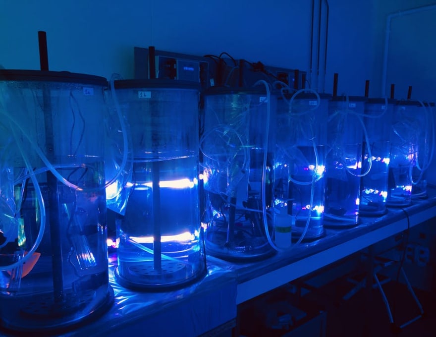 NOTION Project - Experiments testing the response of diazotroph cells to simulated climate change scenarios