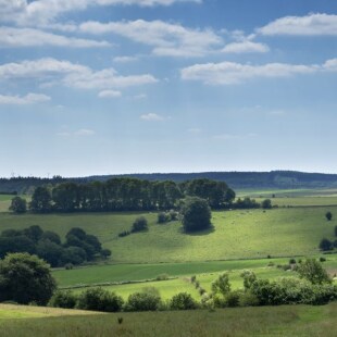 paysage ardennes belgique près de stavelot