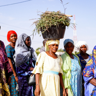 Women in a field in Africa