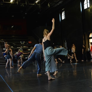 festival Montpellier Danse 40 bis