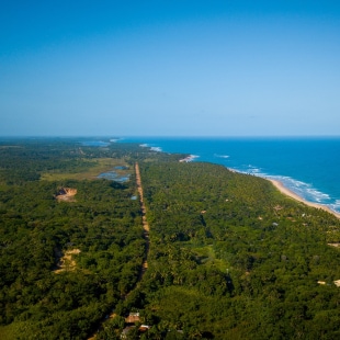 BNP Paribas Perspectives biodiversité 2023