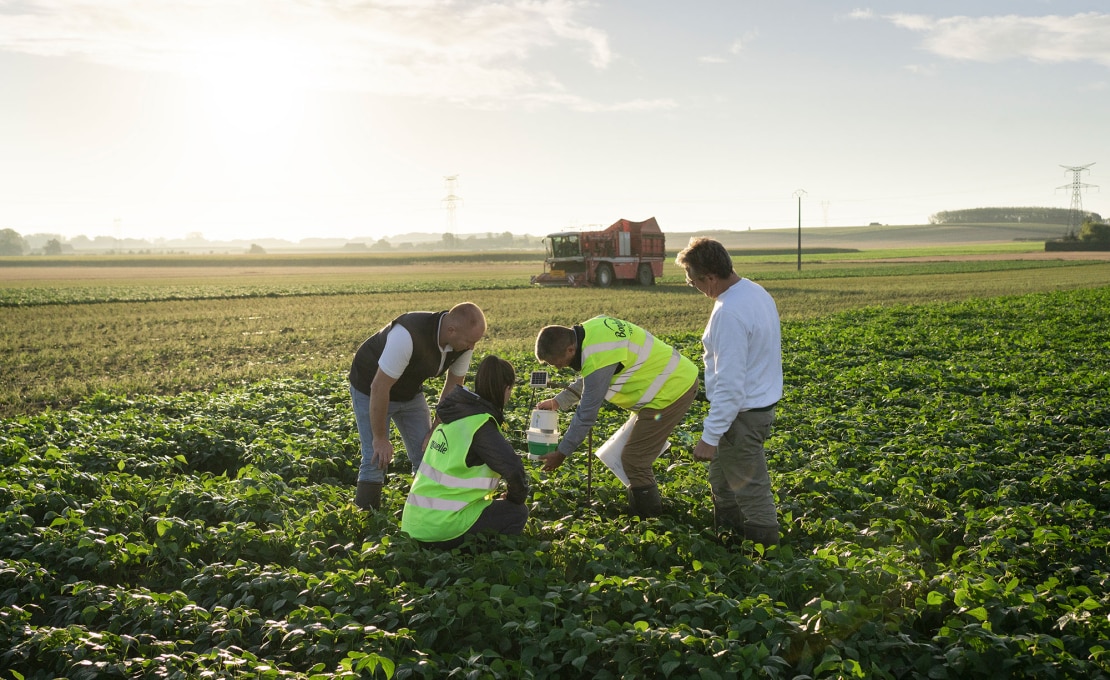 Business Case B2B - Bonduelle