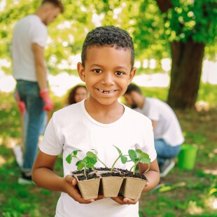 Projet Banlieues 2020