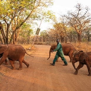 Biodiversity emergency